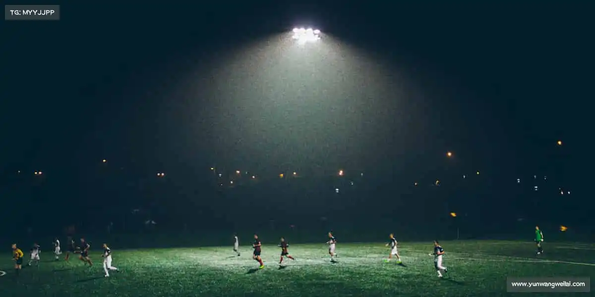 贵宾会官网vip——运动不止,青春不散场!